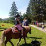 phoca_thumb_m_ponk 143 Fotogalerie